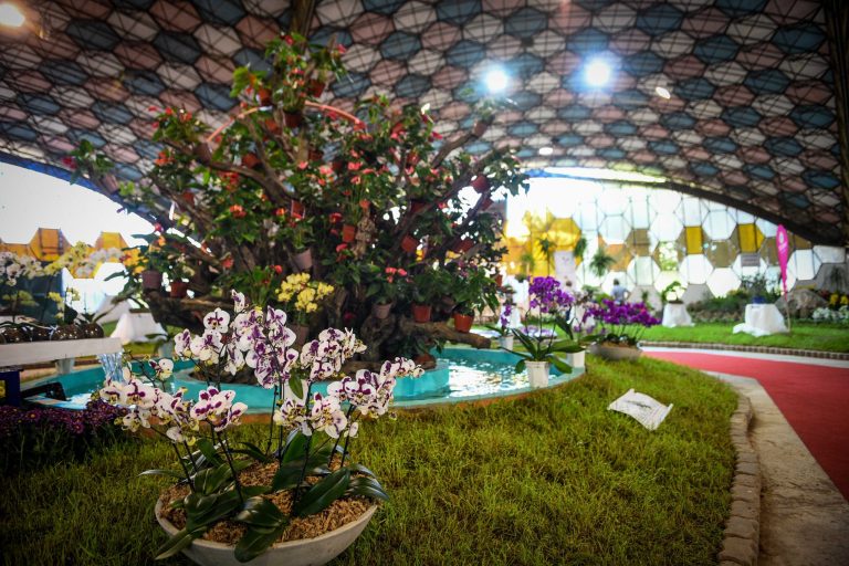 Fiesta Nacional De La Flor Con Grandes Artistas Desfile De Carrozas Y