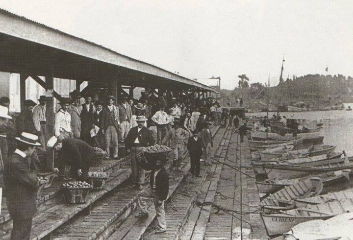 mercado-frutos-tigre-historia