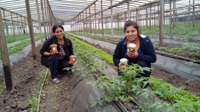 productores-verduras-pueblo-a-pueblo