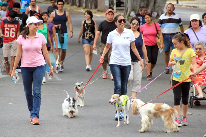 caminata-canina-san-martin