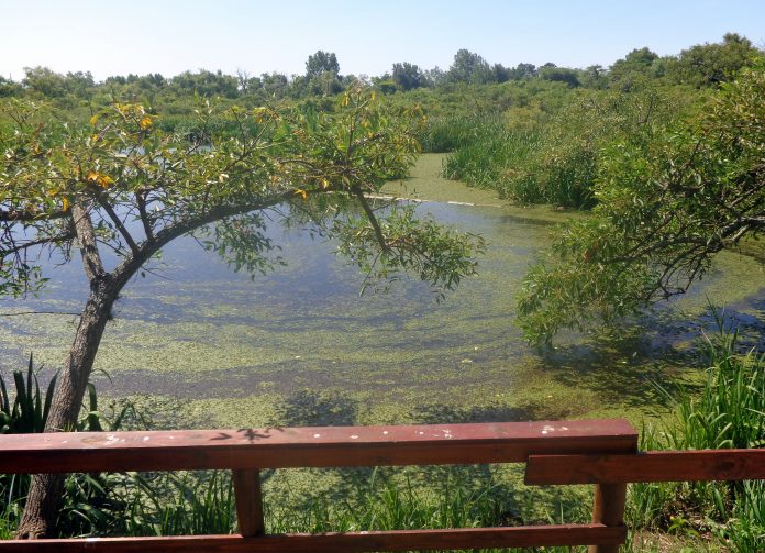 Parque Ribera Norte San Isidro