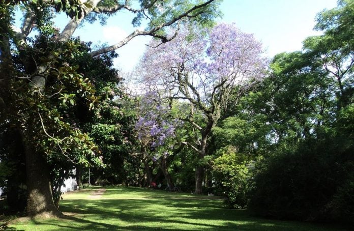 Museo Pueyrredon Jardines