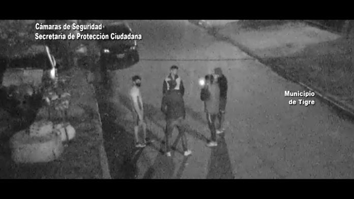 CAMARA SEGURIDAD TIGRE