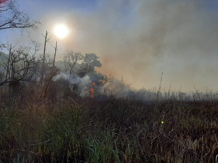 incendio-delta-tigre