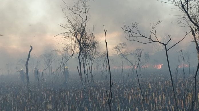 Foto Incendio Islas Escobar 4