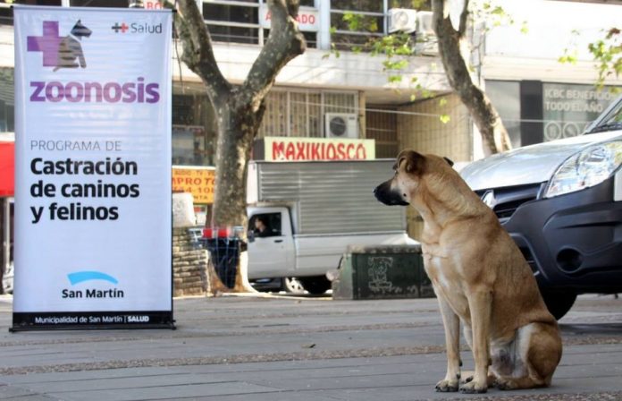 Zoonosis San Martin