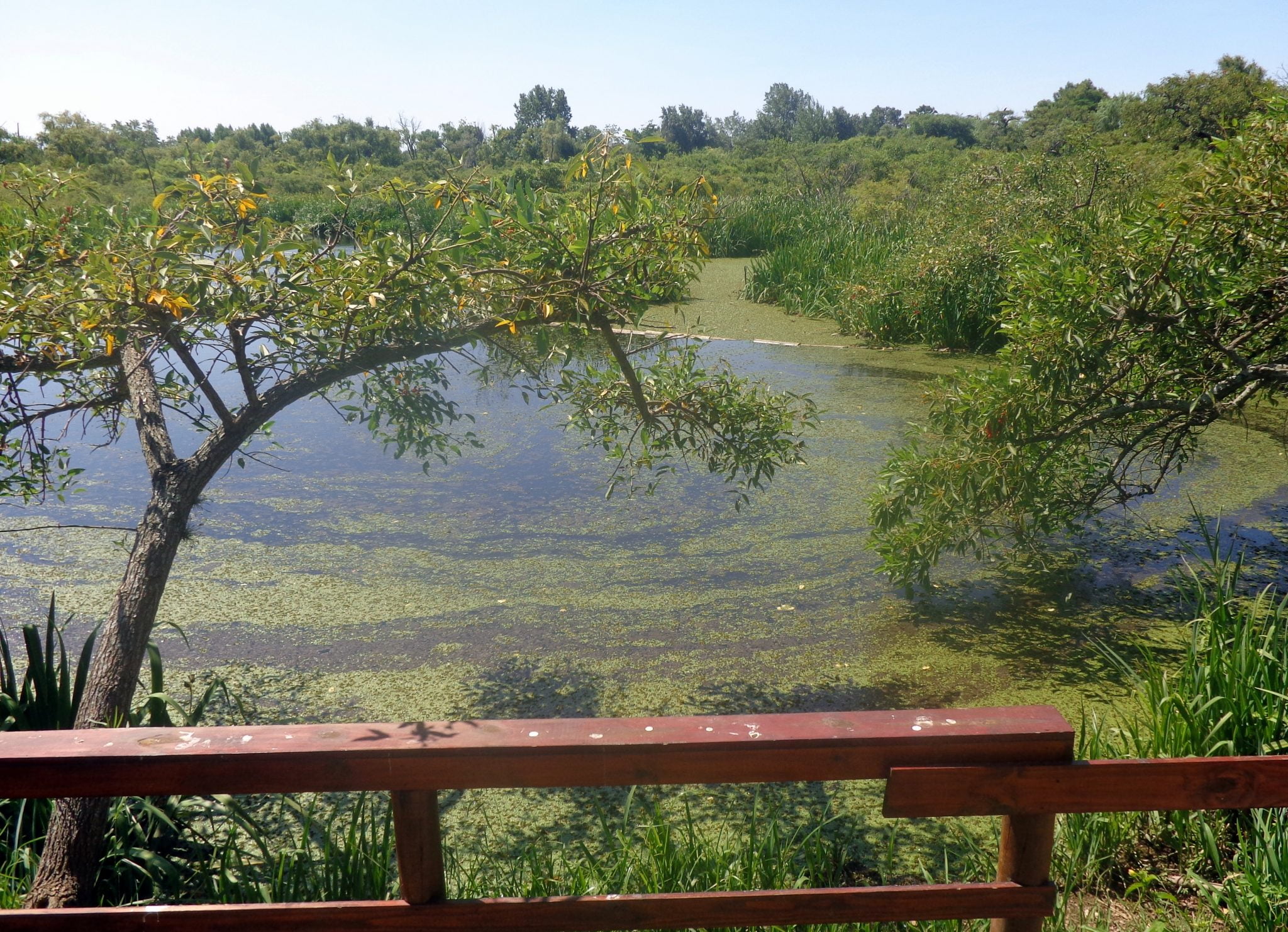 Reserva Natural Ribera Norte De San Isidro Días Horarios Y Protocolos Para Visitarla Que 9595