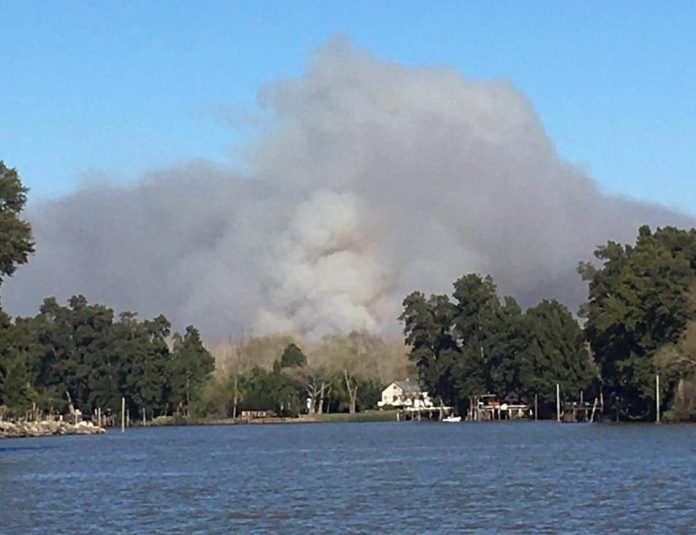 Incendio Delta Parana Escobar Tigre