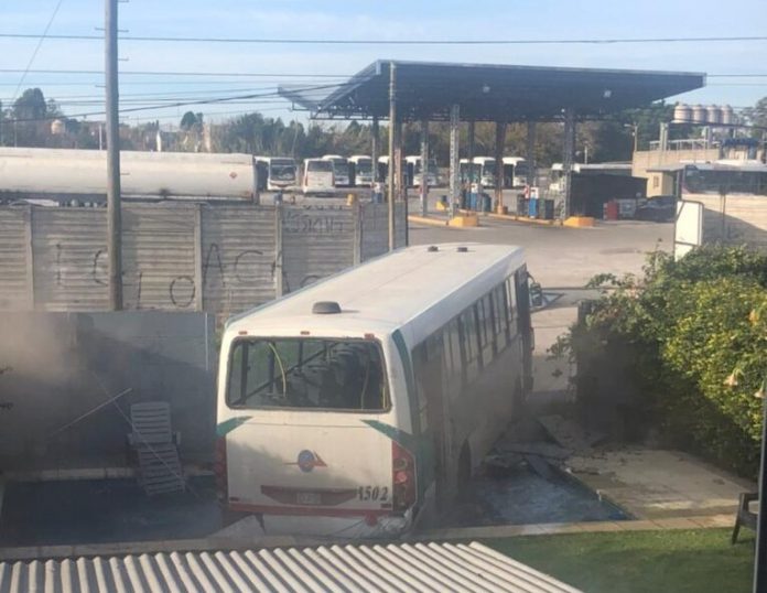 colectivo en la pileta el talar