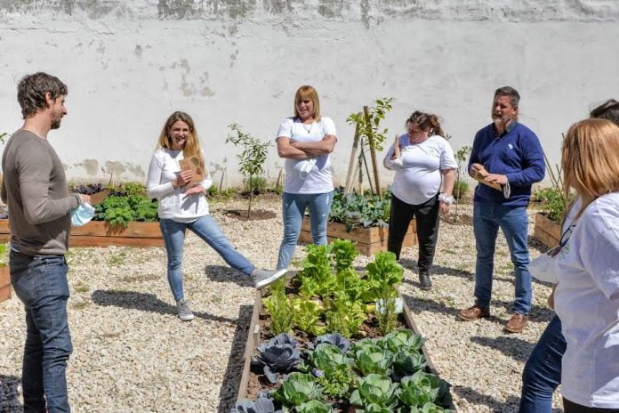 huerta en casa