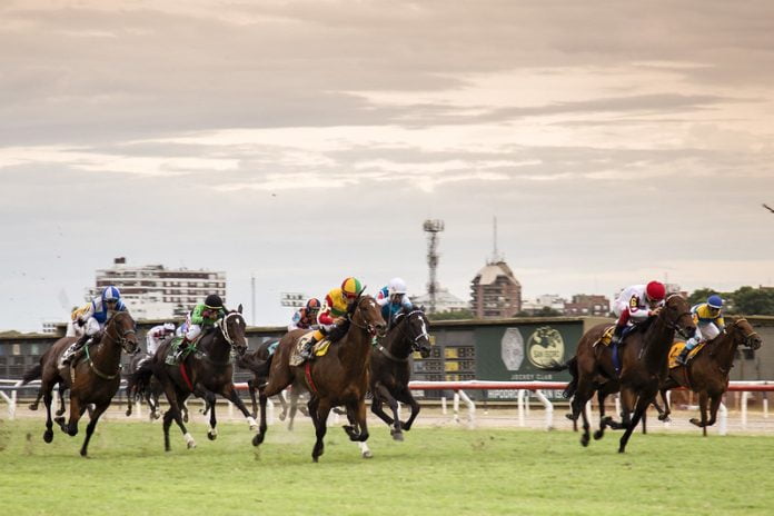 gran premio internacional carlos pellegrini de turf