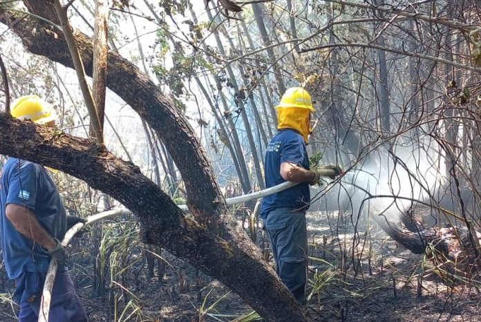 incendio delta san fernando 2