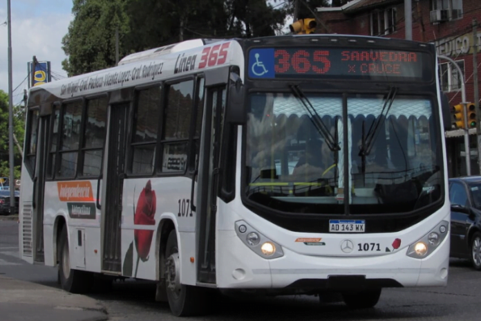 colectivo linesa 365 2022