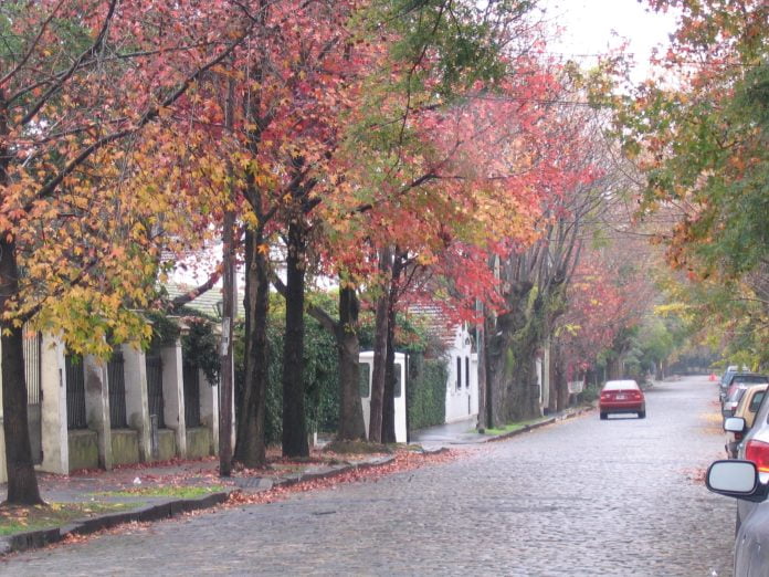 otoño buenos aires 209