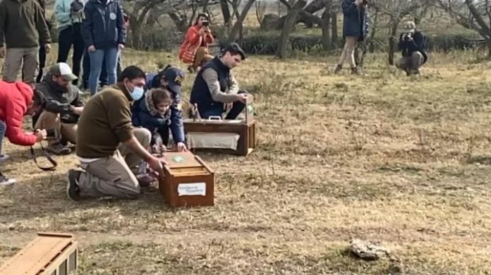 aves escobar liberacion 2