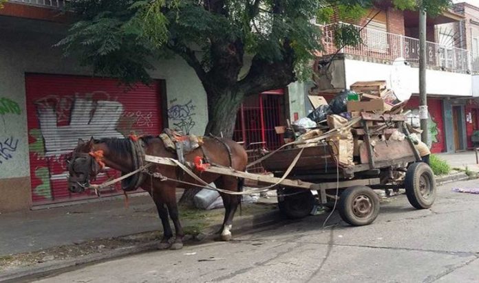 traccion a sangre carro caballo