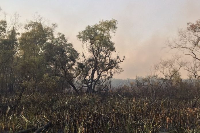 incendio delta tigre 3