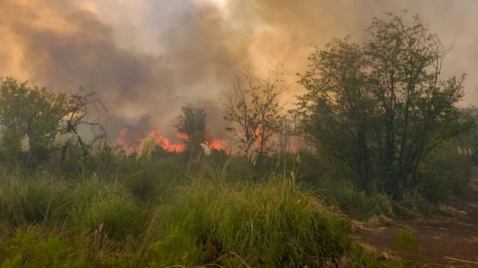 incendio apargon pilar campo 2023