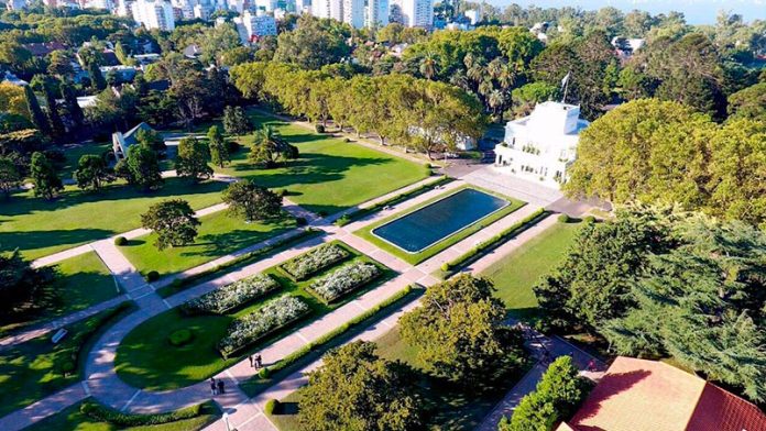 quinta de olivos