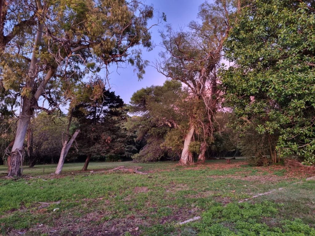 predio obras sanitarias beccar parque publico