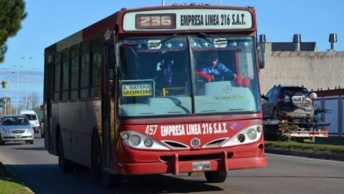 línea 236