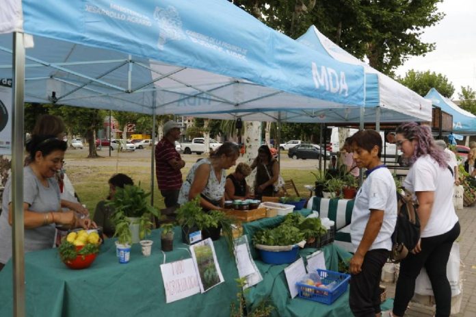 mercados bonaerenses 4