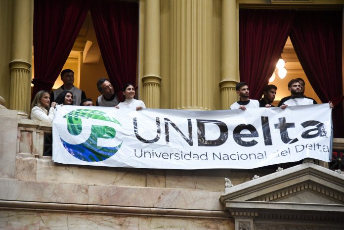 galmarini diputados universidad delta